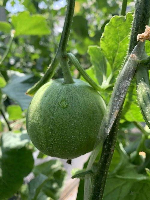 吃娱乐圈连串的瓜,揭秘明星背后的故事